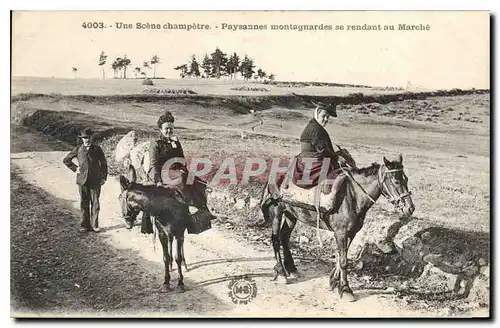 Cartes postales Folklore Une Scene champetre Paysanne montagnardes se rendant au marche Cheval TOP