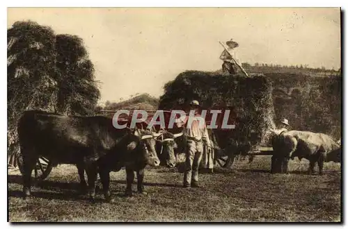 Cartes postales Folklore Types d'Auvergne la Fenaison