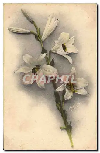 Cartes postales Fantaisie Fleurs