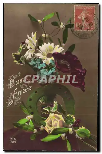 Cartes postales Bonne Annee Fleurs Fer a cheval