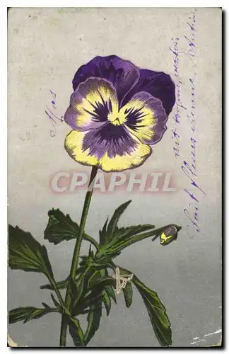 Cartes postales Fantaisie Fleurs