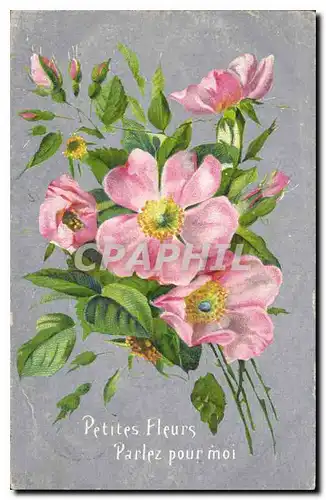 Cartes postales Fantaisie Fleurs