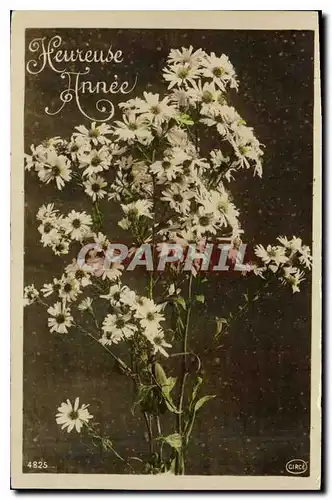 Cartes postales Fantaisie Fleurs