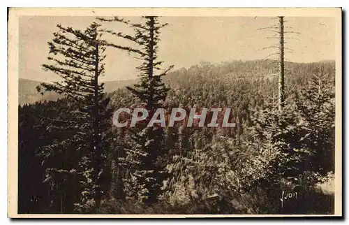 Cartes postales Vallee de Munster Le Sanatorium Altenberg La douce France