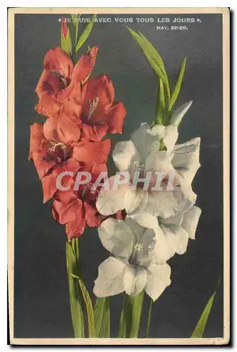 Cartes postales Je suis avec vous tous les jours Fleurs Glaieuls