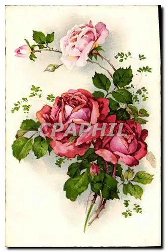 Cartes postales Fantaisie Fleurs