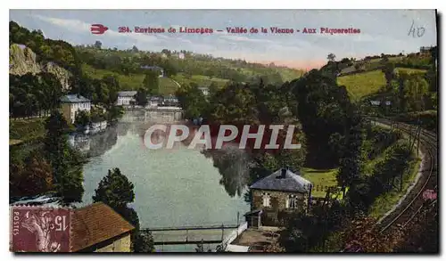 Cartes postales Environs de Limoges Vallee de la Vienne Aux Paquerettes