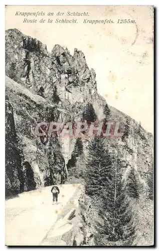 Cartes postales Krappenfeis an der Sehlucht Route de la Schlucht Krappenfels