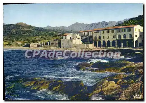 Cartes postales moderne Algajola L'Hotel De La Plage Proprietaire Martelli