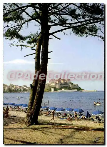 Cartes postales moderne Calvi La Plage Et La Citadelle