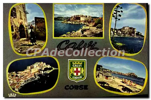 Cartes postales moderne Charmes Et Couleurs De La Corse Calvi