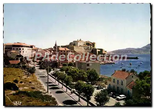 Cartes postales moderne Calvi Le Grand Hotel Et Le Cours Wilson