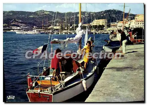 Cartes postales moderne Calvi Port De Peche Et De Plaisance