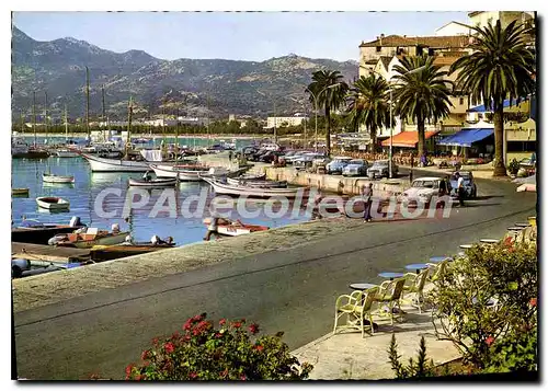 Cartes postales moderne Calvi Le Port De Plaisance Un Cadre Merveilleux