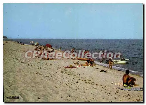 Cartes postales moderne Marine De Caprone Ghisonnaccia La Plage