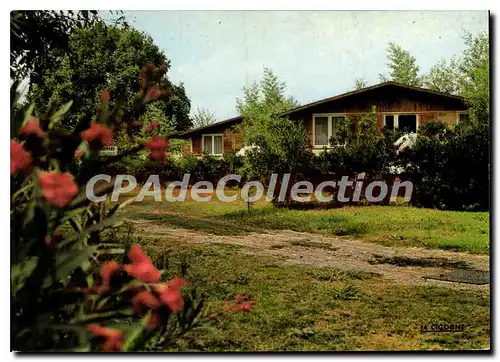 Cartes postales moderne Marine de Caprone Ghisonaccia Les Chalets