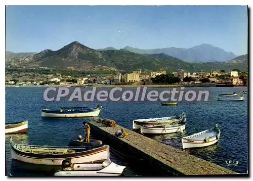 Cartes postales moderne Ile Rousse Le Port De Peche Et La Ville