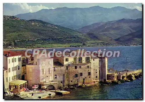 Cartes postales moderne Saint Florent La Vieille Marine Aspect De I'Hotel les lauriers roses