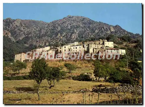 Cartes postales Moltifao Vue Partielle Du Village