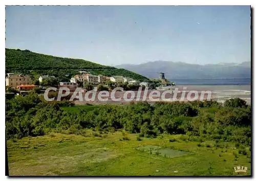 Cartes postales moderne La Marine D'Albo Charmes Et Couleurs De La Corse