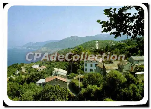 Cartes postales moderne Charmes Et Couleurs De La Corse Pino