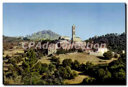 Cartes postales moderne Charmes Et Couleurs De La Corse Soveria Vue Generale