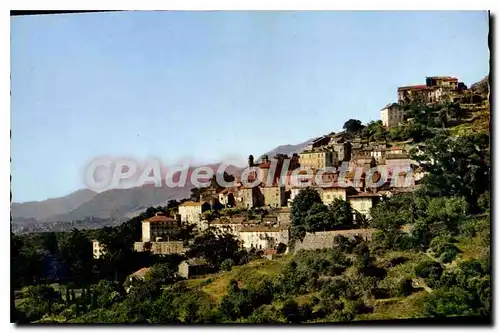 Cartes postales moderne Oletta Vue Generale