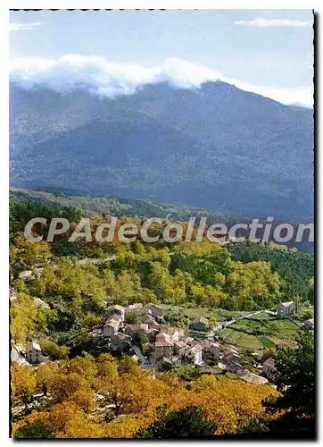 Cartes postales moderne Tasso Vue Generale