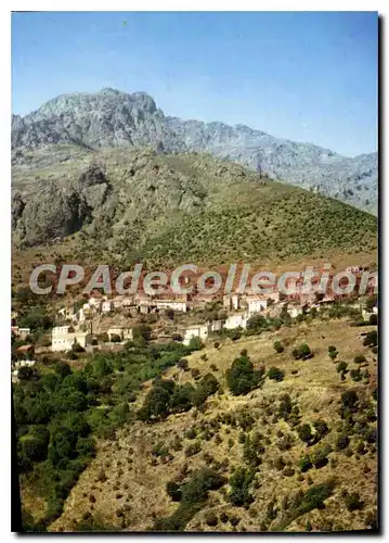 Cartes postales moderne Charmes Et Couleurs De La Corse Asco Vue Generale libre service Vesp�rini