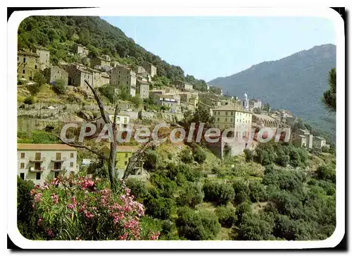 Cartes postales moderne Charmes Et Couleurs De La Corse Olmeto Vue Generale