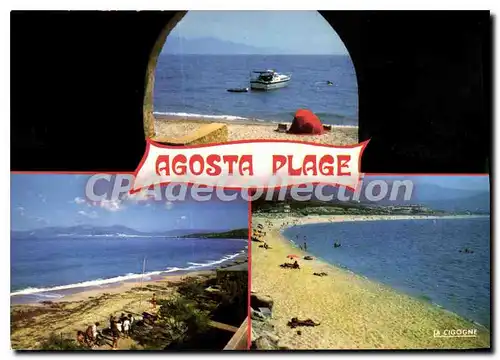 Cartes postales moderne Charmes Et Couleurs De La Corse Porticcio Agosta Plage