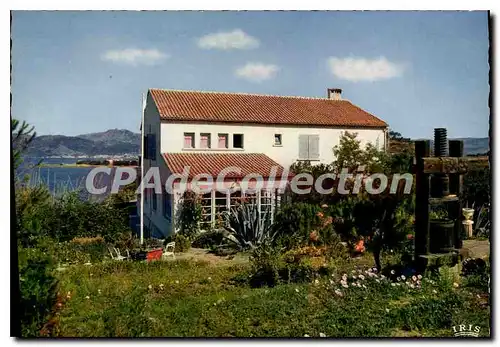 Cartes postales moderne Porticcio Baie D'Ajaccio L'Hotel Le Maquis Bastelicaccia