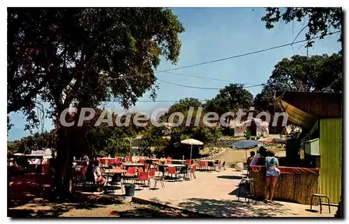 Cartes postales moderne Eclaireurs Et Eclaireuses De France Camp De Porticcio