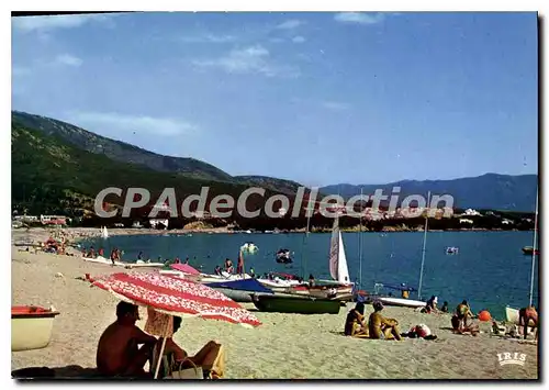 Cartes postales moderne Sagone Sa Plage Au Sable D'Or sampiero