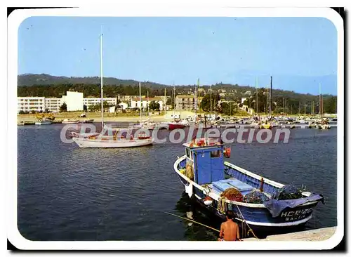 Cartes postales moderne Solenzara Le Port De Plaisance