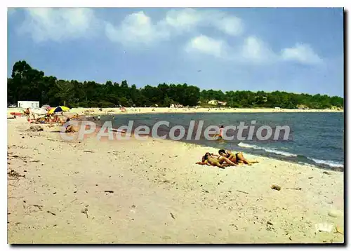 Cartes postales moderne Solenzara Cote Des Nacres Et Sa Plage