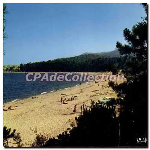 Cartes postales moderne Solenzara Cote Des Nacres Et Sa Plage