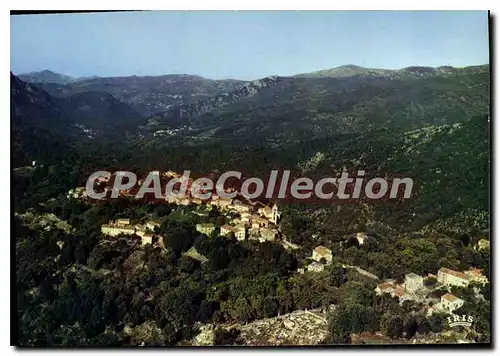 Cartes postales moderne Guagno Vue D'Ensemble