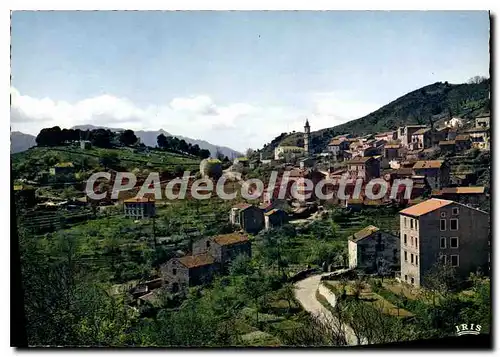 Cartes postales moderne Levie Vue Generale