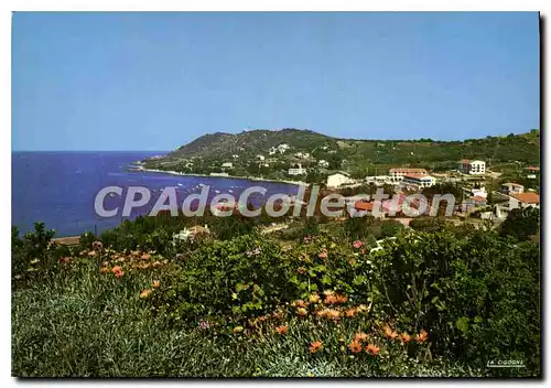 Cartes postales moderne Tiuccia Corse Vue Generale