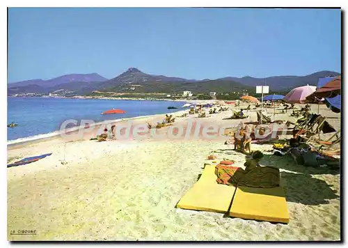 Cartes postales moderne Tiuccia Corse La Plage