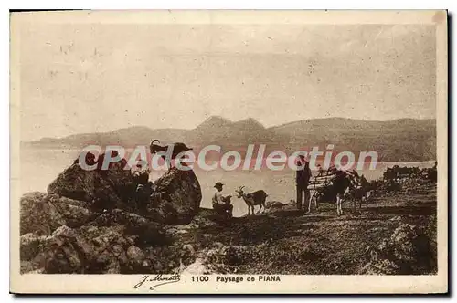 Cartes postales Paysage De Piana