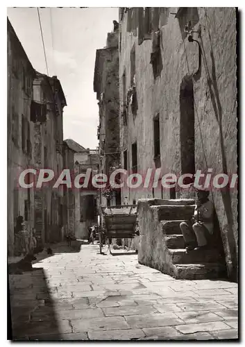 Cartes postales moderne Bastia Le Vieux Port Vieille Rue De La Haute Ville