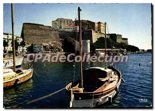 Cartes postales moderne Calvi Les Vant Le Citadelle