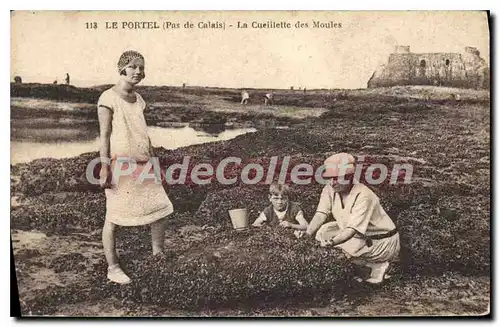 Cartes postales Le Portel La Cueillette des Moules