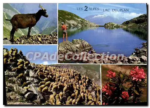 Cartes postales moderne Les 2 Alpes Lac Du Plan