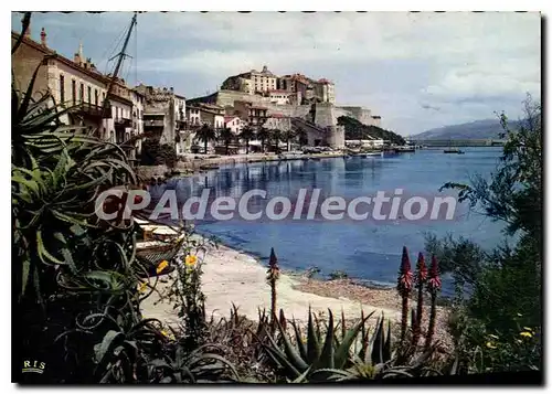 Cartes postales moderne Dans La Miroir D'Un Golfe Aux Eaux Calmes Calvi