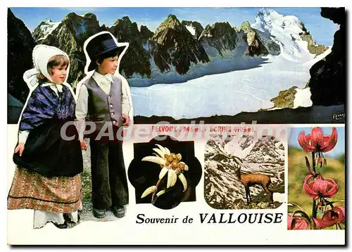 Cartes postales moderne Souvenir de Vallouise Merveilles des Hautes Alpes