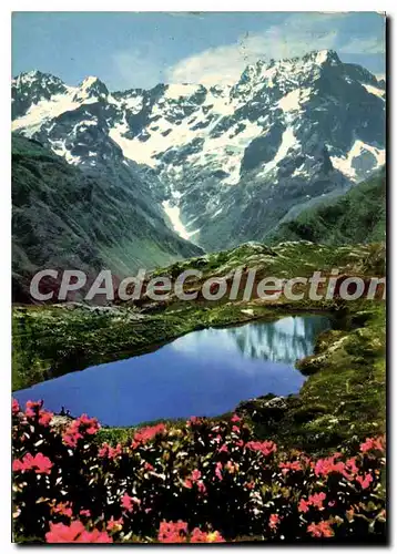 Cartes postales moderne Les Alpes Pittoresques Le printemps en haute altitude Le Lac du Lauzon