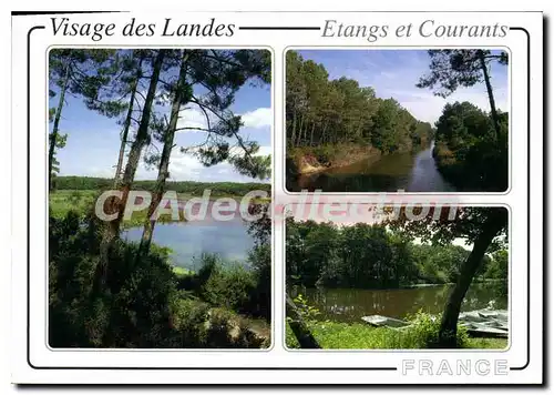 Cartes postales moderne l'Etang et courannt de Mimizan Courant de Soustons